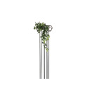 Europalms Pothos Bush Tendril Classic 100cm