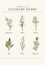 Herbs Plakat Plakat / 50x70cm