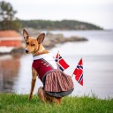 Bunad Til Hund Tispe