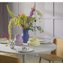 Gense Dorotea forrett- og dessertskjeer 4-pakn. rustfritt stål