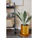 OYOY Living Design - Nami Plantepotte w/Tallerken Large Rav - Lampemesteren