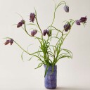 Stripes Melkemugge 30 cl 12,5 cm Fiolett