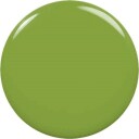 Kokie Cosmetics Green Nail Polish Venom