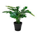 House Nordic Monstera 9501000