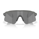 Oakley Stunt Devil Grey Smoke W/Prizm Black OS