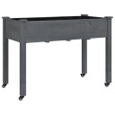 vidaXL Plantekasse med foring grå 118x59x80 cm heltre gran
