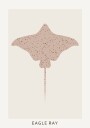Eagle Ray Plakat Plakat / 40x50cm
