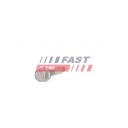 Skrue, innsprøytningsdyseholder FAST FT05138