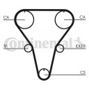 Registerrem CONTITECH CT769