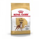 Royal Canin Boxer Adult 12 kg Tørrfôr for Voksne Hunder