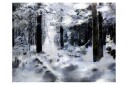 Fototapet Winter Forest 300x231 - Artgeist sp. z o. o.