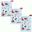 Plakat 50 x 70 cm - Smådyrene rundt deg Dansk