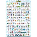 Pokemon Plakat Hoenn - 91,5 x 61 cm