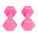 Fitness sett manualer vekter 2 x 0,5 kg