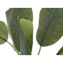 Europalms Banana Tree, 100cm