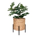 House Nordic Potte Antas 1696457-02-0 1735301-01-0