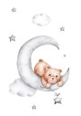 Teddy Bear Plakat Plakat / 70x100cm