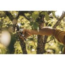 Fiskars Plus P751 Beskjæringssaks med sideskjær, Hageredskap
