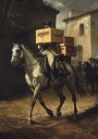 Rask levering Plakat / 100x150