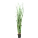 Mr Plant Gress 130 cm
