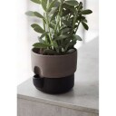 Northern Oasis Selvvanningspotte liten Ø15 cm Svart
