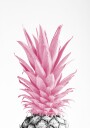 Tropical Pink Pineapple Plakat / 100x150