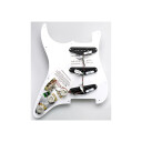 Dimarzio Fg2108wa3 Pre-Wired Pickguard Strat Hs
