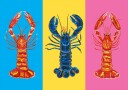 Lobster Langoustines Pop Art Plakat Plakat / 50x70cm