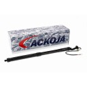 Elektromotor bakluke ACKOJA A70 55 0004