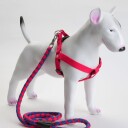3 Delers Selesett Til Hund: Sele/Halsbånd/Kobbel