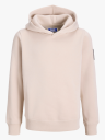 Jack & Jones Junior Cleveland Sweat Hood Grå 164