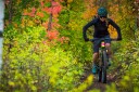 7Mesh Callaghan Merino Hoody W'salpen glow XS