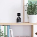 Blink Mini Pan Tilt Kamera Svart