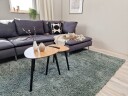 Lounge Ryeteppe 300x400 cm Rektangulær - Grønn