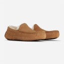 UGG M Ascot - Chestnut