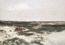 The Dunes at Camiers by Charles-François Daubigny Plakat Plakat / 50x70cm