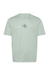 Calvin Klein Jeans Ss 30S Micro Monologo Graphic Te Green XXL