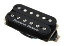 Seymour Duncan SH-15 BK Alternative 8