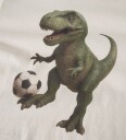 Name It Genser   NmmVoto   Antique White/Dino Fotball   Name It   6 år (116)   Genser Beige Hvit