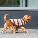 Little&Bigger Chenille Strikket Hundegenser Brun/Beige (S)