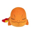 Pokemon Sleeping Charmander