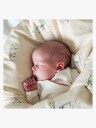 That"s Mine Levi Bedding   Cream   BABY DK