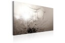 Tavle Beautiful Summer: Dandelions 120X80 Artgeist sp. z o. o.