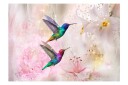 Fototapet Colourful Hummingbirds Pink  150x105 - Finnes i flere størrelser