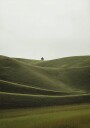 Foggy Green Hill Plakat Plakat / 40x50cm