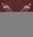 DYR Cph Collegegenser   Dyrebelg   Dark Cherry m. Sommerfugl   DYR   7 år (122)   Collegegenser Bordeaux Rosa
