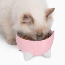 Catit Combo Kit Pixi Pink (785.0453)