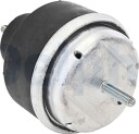 DELPHI TEM239 Motorfeste
