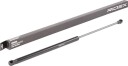 RIDEX 219G0756 Baklukedemper