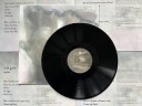 Ruth Goller  skylla  LP/Vinyl